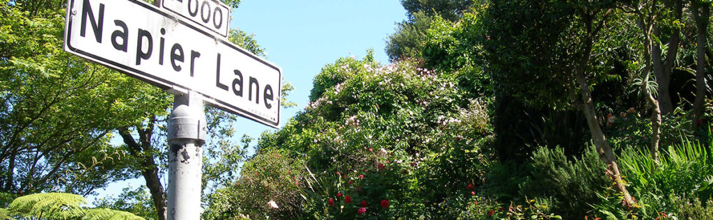Telegraph Hill